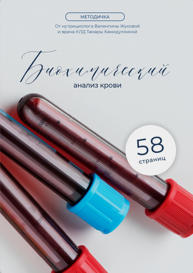 [Валентина Жукова, Тамара Хамидуллина] Методичка «_0.png